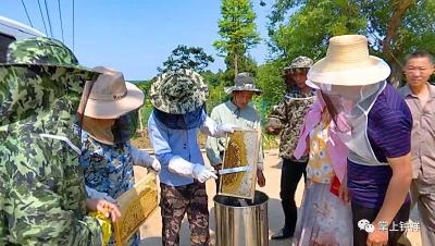 “养蜂书记”和他的“甜蜜事业”