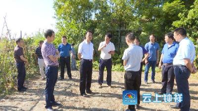 郭志泉调研天门河流域钟祥段环境整治情况