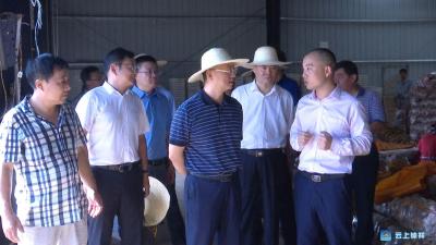 李涛调研钟祥市新农村建设及精准扶贫工作
