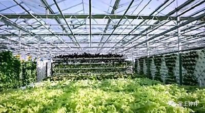 钟祥发展太快 这项成绩居全省十强第一位 
