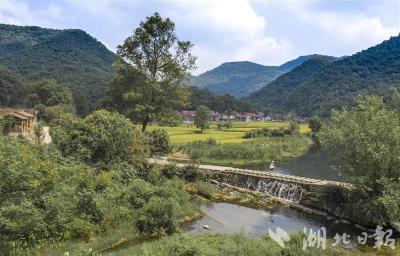 让游客沉浸式度假、营造一个庄园梦……钟祥打造乡村旅游“升级版”