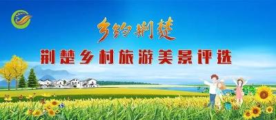 【重磅】17个市（州）美歌美景轮番亮相湖北卫视，各地党政领导为城市代言！