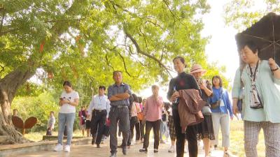 点赞旅游惠民！钟祥各大旅游景区景点游客爆满！