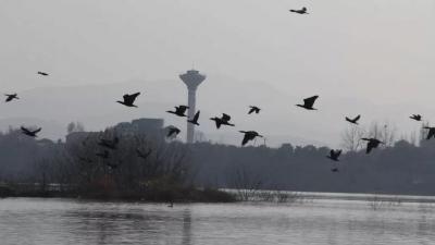 黄坡水库：峥嵘岁月竞风流 