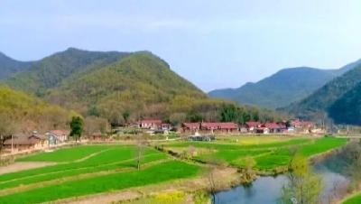 钟祥：突出特色产业 创新发展方式 助农脱贫增收 