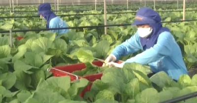 钟祥市被命名为“国家农产品质量安全县市”称号 