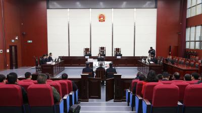 原武汉市公安局武昌区分局局长皮某因涉嫌徇私枉法、受贿犯罪公开受审