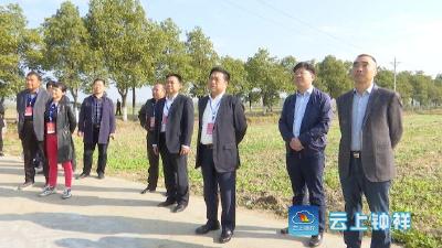 李定建视察生态环境治理议案办理情况