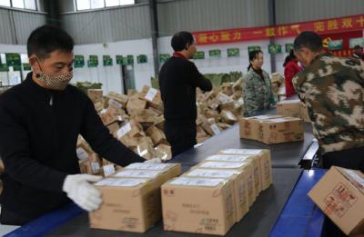 迎丰食品，一天接单7.2万份 