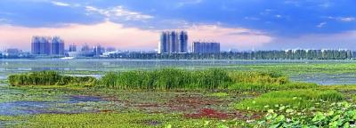又双叒叕有好消息！钟祥市入选“2019中国县域旅游竞争力百强县市” 