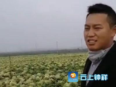 余小松：“我想为武汉市民捐赠30吨新鲜大白菜！”