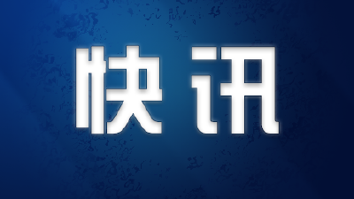 武汉市委书记王忠林：28日实现隔离点确诊和疑似病例清零 