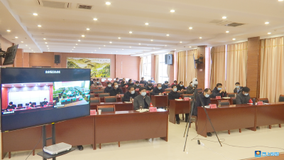 钟祥市召开新冠肺炎疫情防控视频调度会