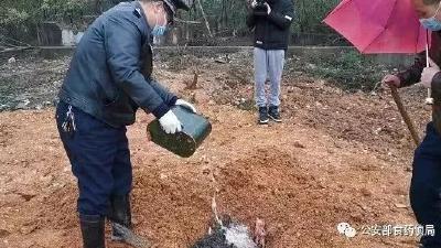 这个时候还顶风作案！非法捕猎野生动物，抓！ 