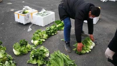 每天300吨蔬菜，免费送到武汉！云南有心了！ 