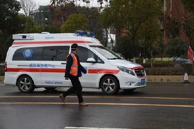 中央赴湖北指导组约谈武汉市副市长等3人 