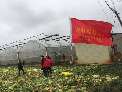 守望相助，市退役军人事务局15000斤爱心蔬菜送给社区居民 
