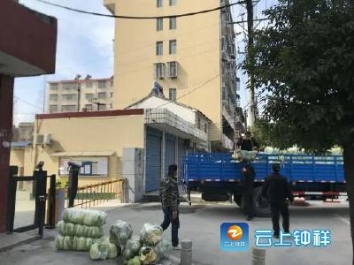 绿色蔬菜直达  小区居民暖心 胡集镇赵河村村民捐菜二万斤