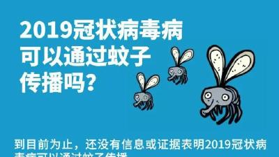 新冠病毒可以通过蚊子传播？世卫组织辟谣！ 