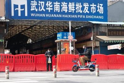 华南海鲜市场商户口述：这些举动救了全家人的命 