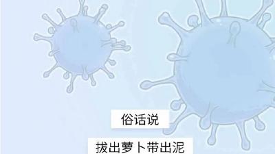 刚怀疑自己染上新冠肺炎，“骗子”的电话就打过来了！ 
