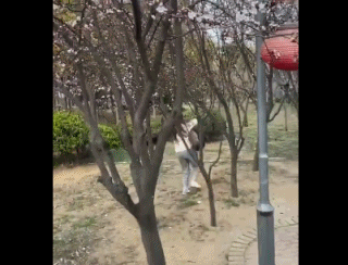 入境留学生跳窗逃跑、拒绝隔离，结果…… 
