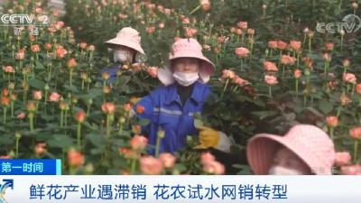 疫情之下，鲜花生意不好做？花农找到了一条新销路→ 