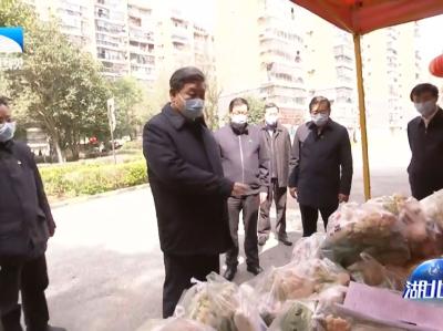 深入贯彻习近平总书记在湖北考察疫情防控工作重要讲话精神 构筑起群防群控的人民防线