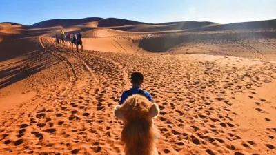 曾登热搜第一！瞒父母游13国大学生：3万旅费自己赚的，被骂到失眠 