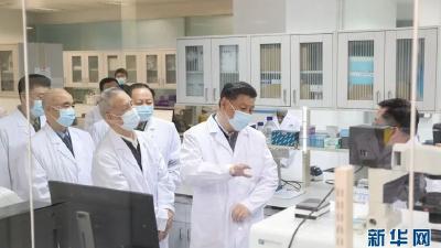 抗疫国际合作，习近平的“怎么做”和“为什么” 