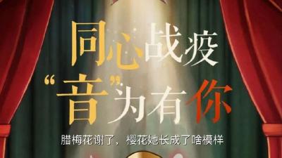 腊梅花谢了，樱花她长成了啥模样？ 