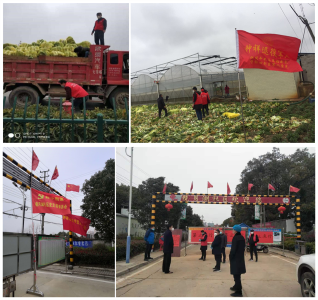 稳民生 严管控 钟祥5868名退役军人坚守社区（村）一线
