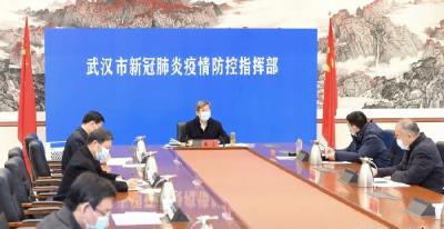 涉局级10人、处级144人，武汉已问责654人 