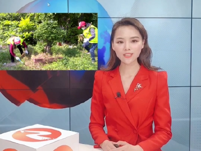 《主播说新闻》之环保志愿者在行动