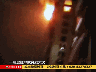 一家6口半夜殒命，广东中山火灾原因公布，意想不到！ 