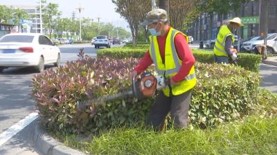 钟祥园林工人为城市“梳妆” 提升城区“颜值”