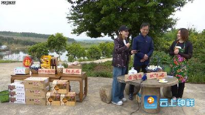 媒体直播带货  镇长上阵代言