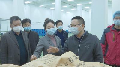 何平强调：用好金字招牌 统筹做好“一园一镇一港”建设
