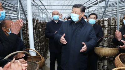 主播说联播丨网友赞总书记“史上最强带货” 李梓萌：带的更是一种思路 