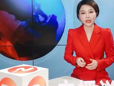 《主播说新闻》之“蛋蛋”和他的流浪狗之家