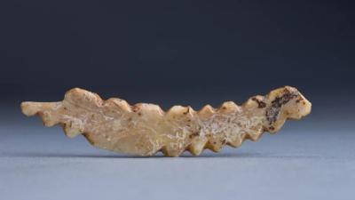 重大考古发现，5300年前的“河洛古国”
