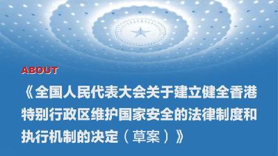 《全国人民代表大会关于建立健全香港特别行政区维护国家安全的法律制度和执行机制的决定（草案）》
