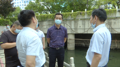 郭志泉巡查镜月湖治理情况