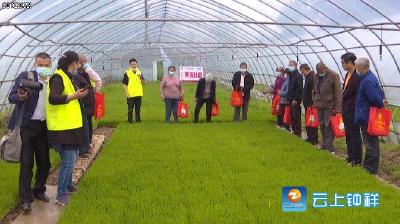 “穗悦扶贫”为长滩镇先锋村贫困户增收节支