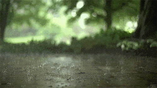 钟祥市将迎新一轮强降雨 需加强防范不利影响
