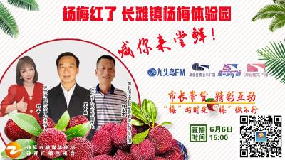 杨梅红了，长滩镇杨梅体验园喊你来尝鲜！