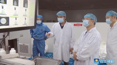 何平调研重点项目运行情况