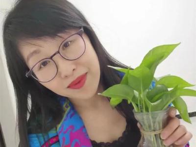 八一特辑●致敬英雄专栏 《 军 礼 》 