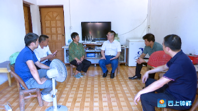 何平在双河镇三同村调研精准扶贫等工作