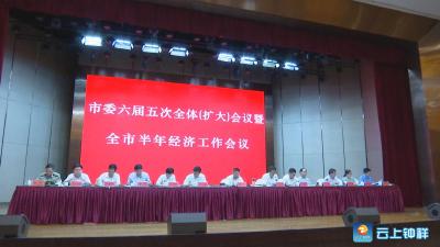 钟祥市委六届五次全体（扩大）会议暨全市半年经济工作会议召开